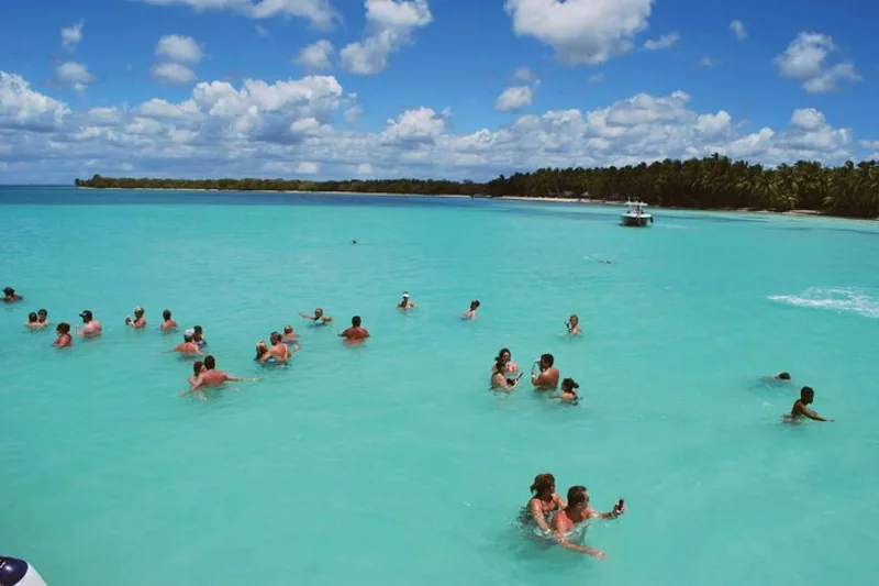 People wading in the turquoise water off a palm-lined shore